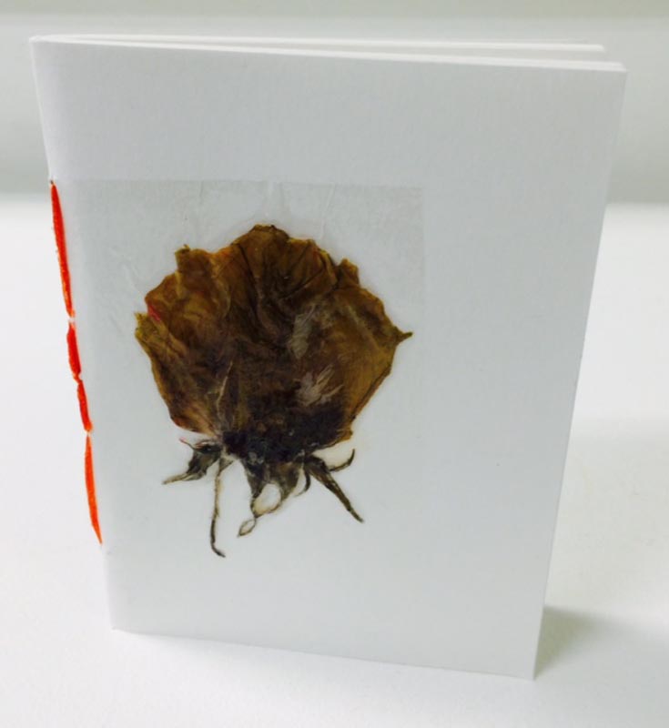 pressed rosebud journal